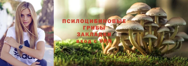 а пвп мука Дмитриев
