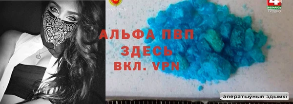мдпв Дмитров