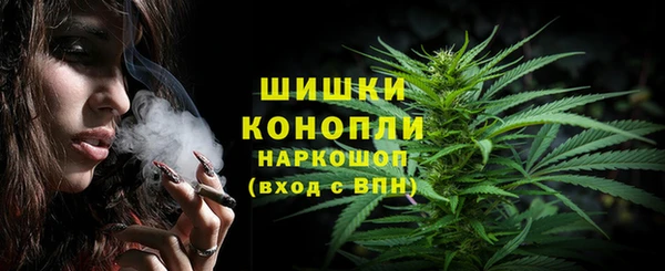 СК Аркадак